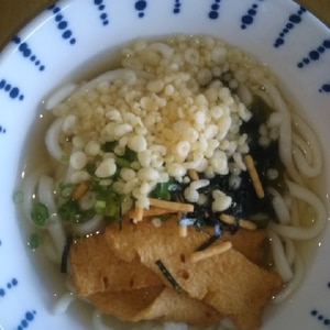 冷やしたぬきうどん